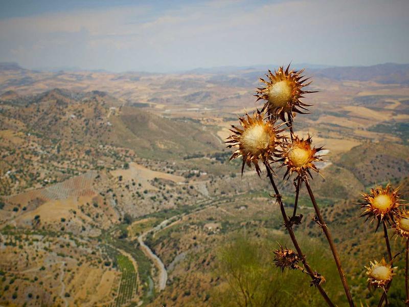 MiredoVarenQuilin Santo Domingo